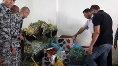 بيت لحم: اتلاف فواكة وخضراوات غير صالحة للاستهلاك