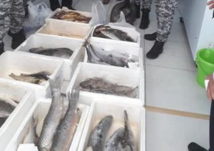 بيت لحم: اغلاق مسمكة لمخالفتها شروط السلامة