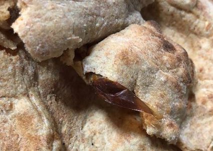 الصحّة تغلق ملحمة في الخليل ومخبزاً في جنين