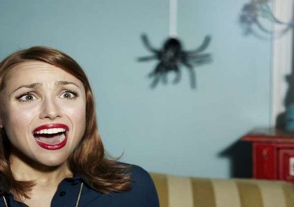 إذا كنت تكره العناكب فانتبه إلى ألوان ملابسك!