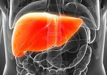 دواء جديد "قيد التجارب".. لمعالجة سرطان الكبد