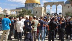 96 مستوطناً يقتحمون المسجد الأقصى