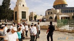 71 مستوطناً يقتحمون الأقصى بحراسة شرطة الاحتلال