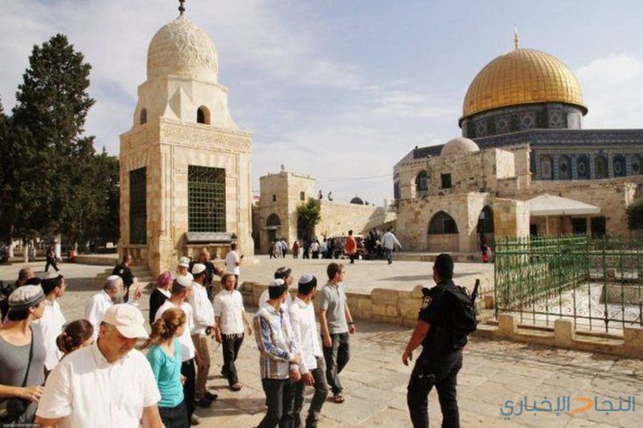 71 مستوطناً يقتحمون الأقصى بحراسة شرطة الاحتلال