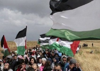 غزة تستعد لـ"جمعة الحرية والحياة”