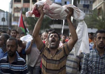 في غزة...طيور الجنة تحت القصف الإسرائيلي