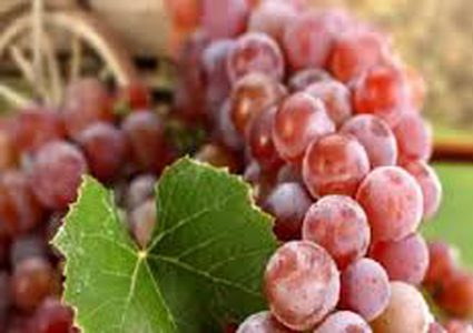 تعرفوا على أهم فوائد العنب الأحمر