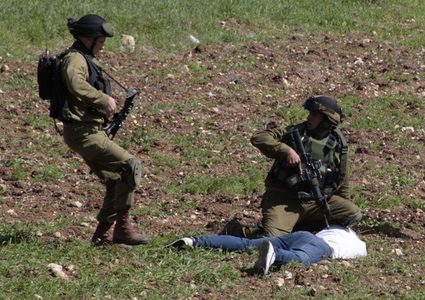 الاحتلال يطارد رعاة الأغنام في يطا ويحتجز أحدهم