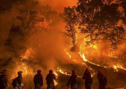 أمريكا: الحرائق التهمت 1.6 مليون فدان حتى الان