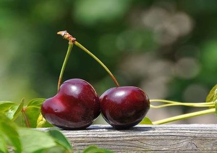 تعرف على فوائد الكرز السحرية!