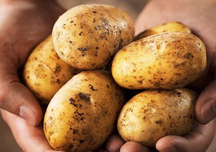كل النصائح حتى لا تصبح البطاطا مسرطنة!