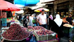 إلقاء غزة في وجه مصر حلم إسرائيلي فهل سيتحقق؟