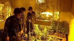 المخدرات جريمة منظَّمة.. والقانون لا زال خجولًا