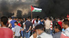 الحياة في غزة ما بين السلام والحرب