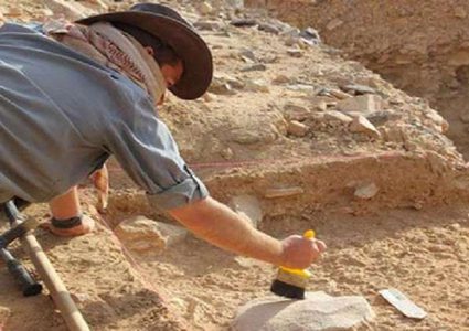 الكسل قضى على نوع كامل من أسلاف البشر!