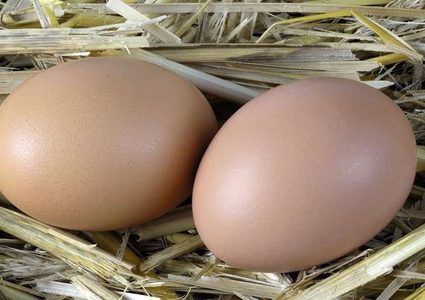 هذا ما سيحدث لجسمك إذا تناولت البيض يوميا!