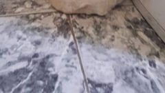 القبض على شخصين بحوزتهما عمود أثري في نابلس