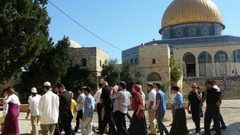 مجموعات المستوطنين تواصل اقتحام الأقصى
