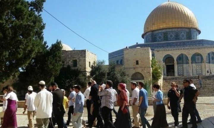 مجموعات المستوطنين تواصل اقتحام الأقصى