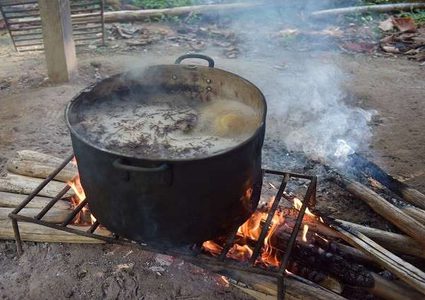 نبات يدخلك تجربة تحاكي الموت!