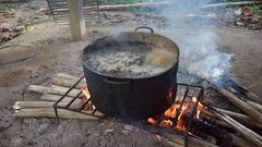 نبات يدخلك تجربة تحاكي الموت!