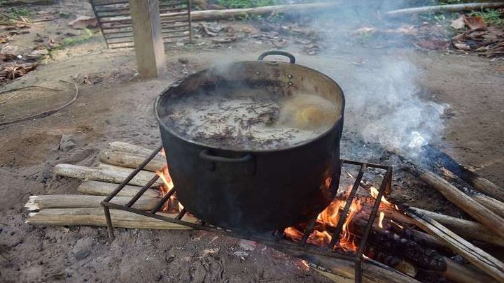 نبات يدخلك تجربة تحاكي الموت!