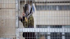 محكمة الاحتلال تمدد اعتقال ثلاث أسيرات من الخليل