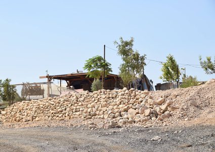 المستوطنون ينفذون أنشطة استيطانية توسعية بالأغوار