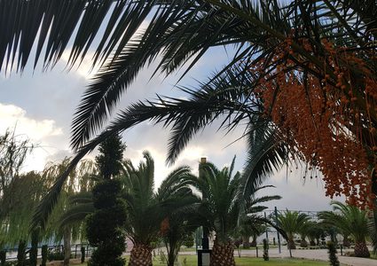 حالة الطقس: ارتفاع آخر على درجات الحرارة