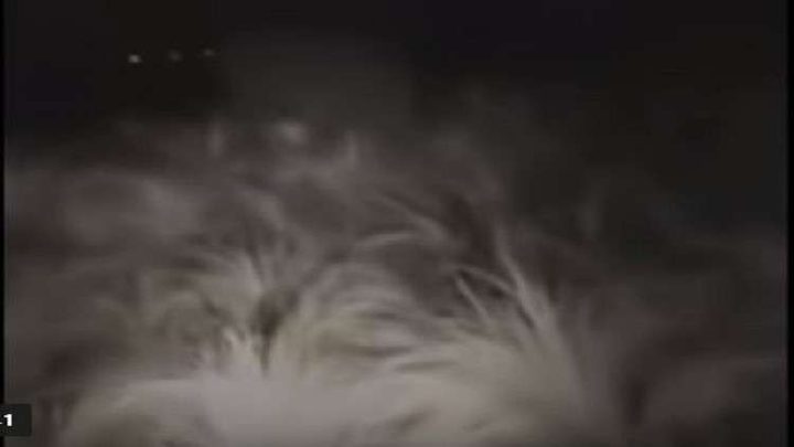 حارس يهرب من كائن غريب متوج بدوائر من الدخان!