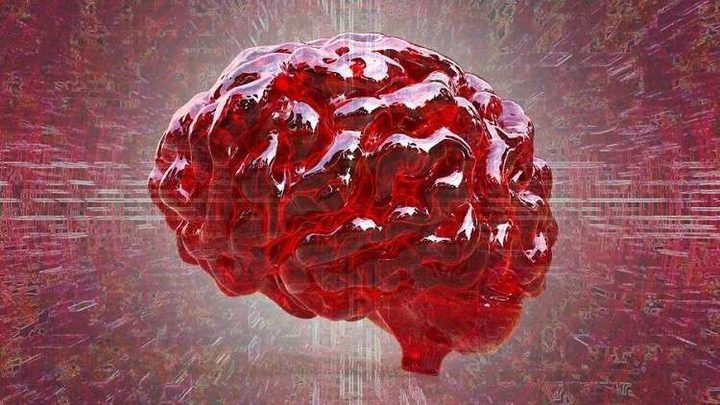 بصمة الدماغ قد تحدد الهويات قريبا