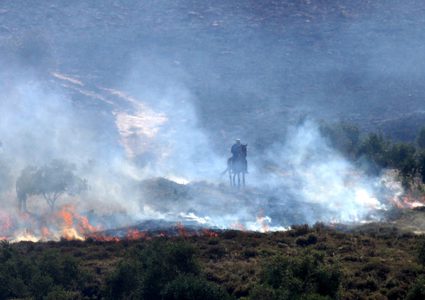 الدفاع المدني يخمد حريقا جنوبي جنين
