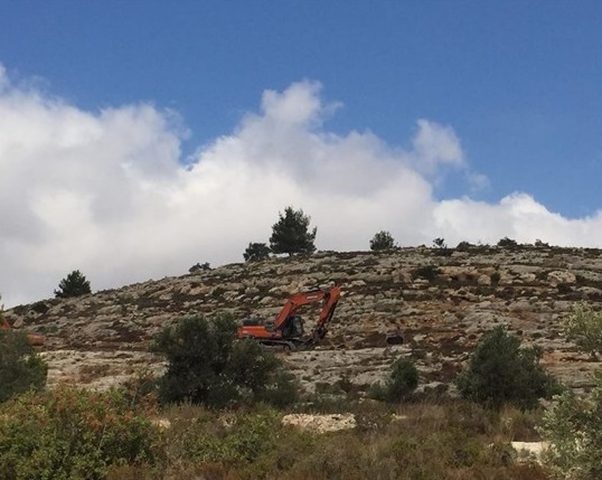 مستوطنون يجرفون أراض زراعية