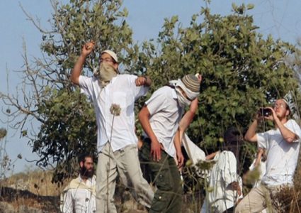 إصابات جنوب نابلس بحجارة المستوطنين