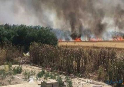 الإحتلال يزعم سقوط قنابل المولوتوف بمستوطنة نتيفوت