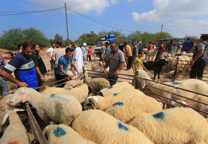 يجتمع الفلسطينيون في سوق الأسهم الحية ، قبل عيد الأضحى ، في وسط قطاع غزة في 20 أغسطس 2018.