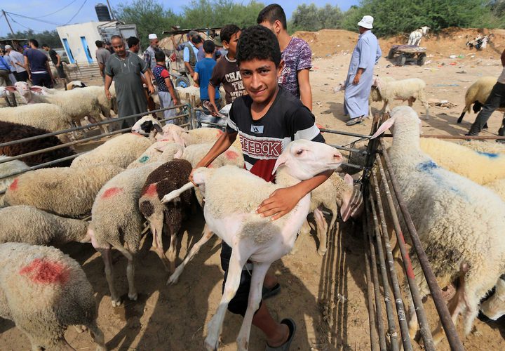 يجتمع الفلسطينيون في سوق الأسهم الحية ، قبل عيد الأضحى ، في وسط قطاع غزة في 20 أغسطس 2018.