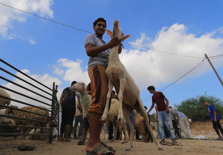 يجتمع الفلسطينيون في سوق الأسهم الحية ، قبل عيد الأضحى ، في وسط قطاع غزة في 20 أغسطس 2018.