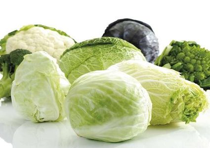 اكتشاف مادة في الملفوف تحمي من سرطان القولون