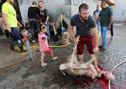 مواطنون يذبحون الأضاحي في أول أيام عيد الأضحى بغزة