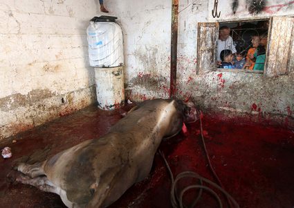 مواطنون يذبحون الأضاحي في أول أيام عيد الأضحى بغزة