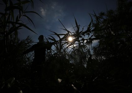 انخفاض طفيف على درجات الحرارة