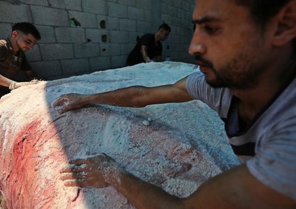 عمال فلسطينيون يقومون بإعداد جلود الحيوانات لاستخدامها في صنع الجلود في اليوم الثاني من عيد الأضحى أو عيد الأضحى ، في مدبغة في مدينة غزة