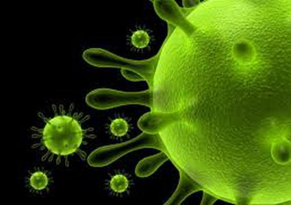 فيروس "النيل" يروع أوروبا