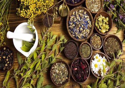 3 اعشاب تساعد على انقاص الوزن بشكل سريع