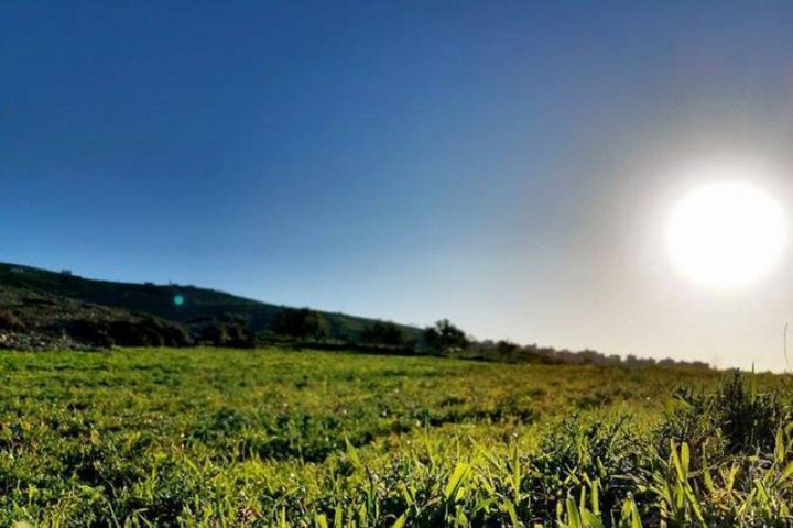 انخفاض على درجات الحرارة