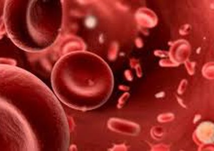 إنتاج صفائح دموية اصطناعية مميزة من خلايا بشرية!