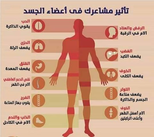 كيف تؤثر مشاعرك على أعضاء جسمك؟