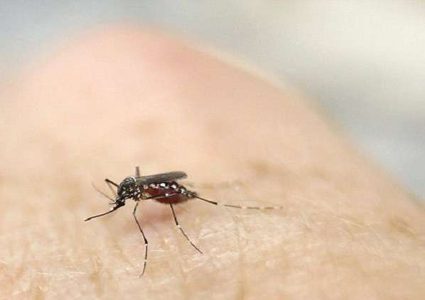 لماذا يلدغ البعوض بعض الناس دون غيرهم؟