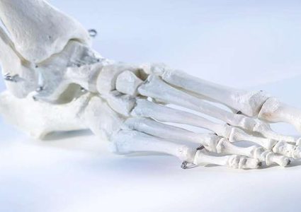 علماء إنماء المفاصل بالطباعة ثلاثية الأبعاد